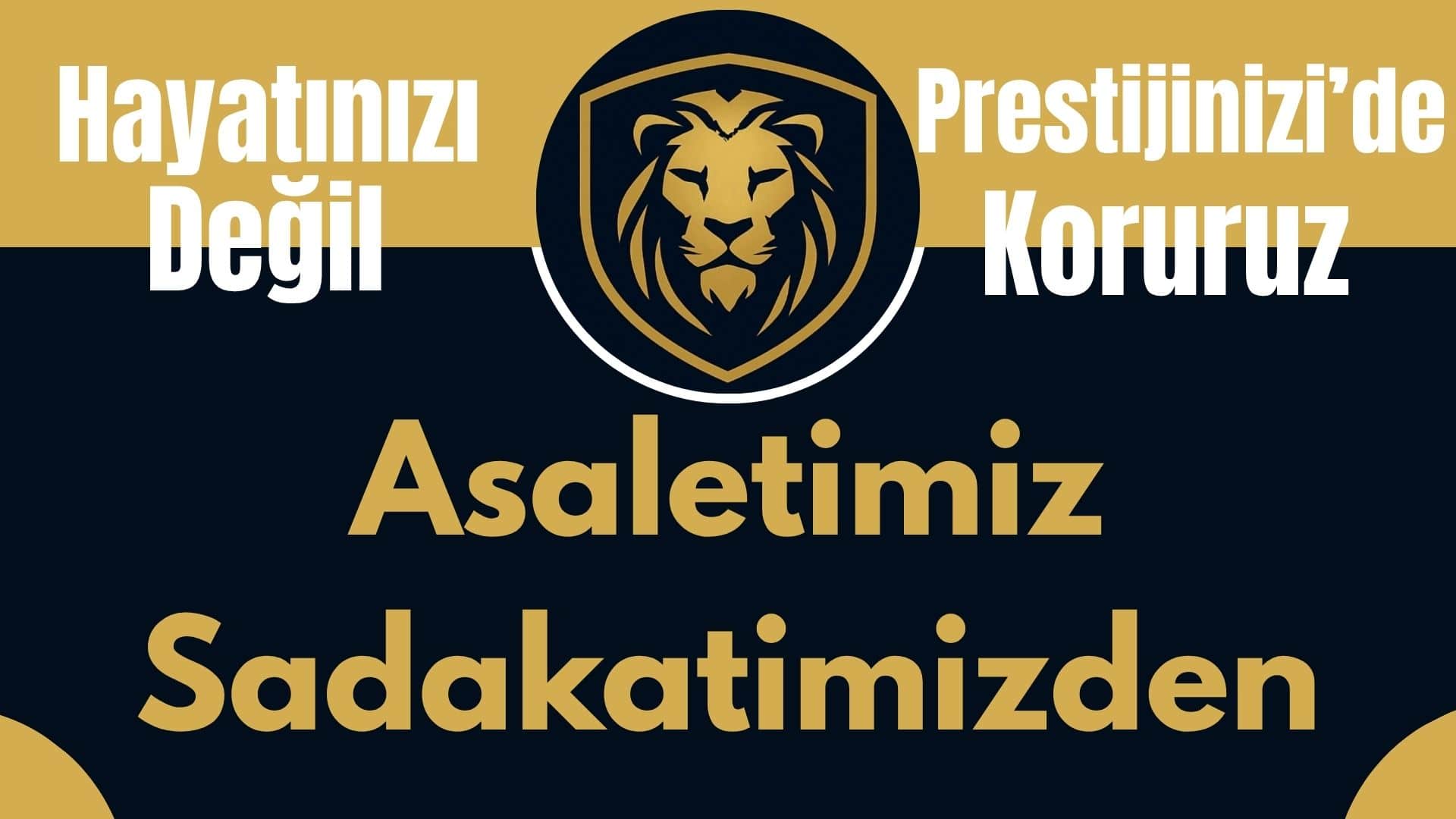 VIP Yakın Koruma Hizmeti